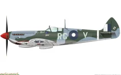 Eduard 1/48 Supermarine Spitfire Mk. VIII Model Kit
