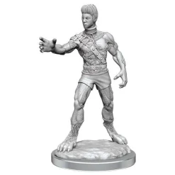 WizKids Nolzur's Marvelous Miniatures Headless Monster